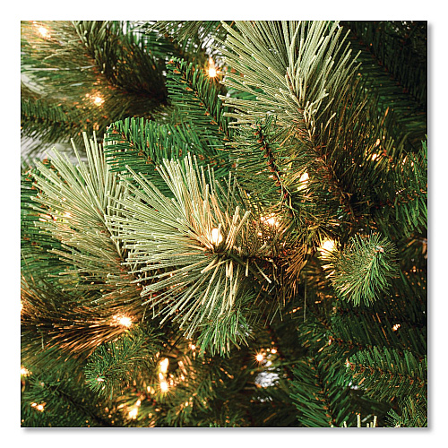 National Tree Company Pre-Lit Charleston Pine Slim Tree, 50" x 50" x 108", Green Tree, Green Tree Stand (CHR330490)