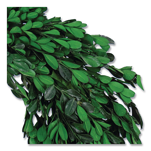 National Tree Company Spring Boxwood Wreath, 18" x 18" x 3.93", Green (EG79MH187181)