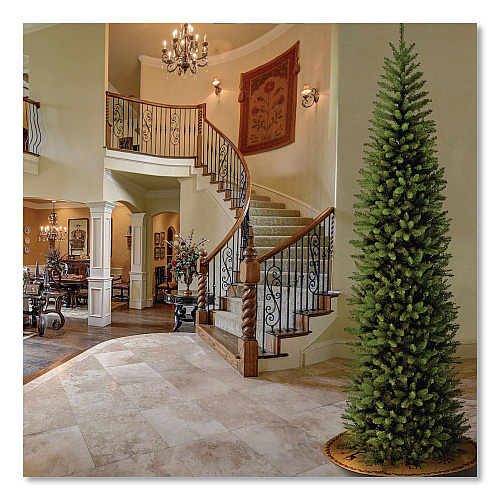 National Tree Company Kingswood Fir Pencil Tree, 46" x 46" x 144", Green Tree, Green Tree Stand (KW7500120)