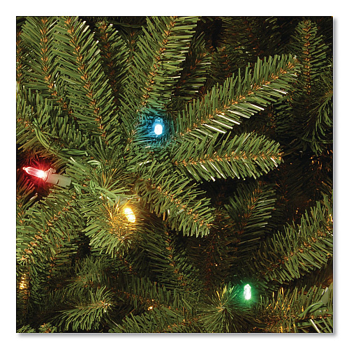 National Tree Company Pre-Lit Natural Fraser Fir Slim Tree, 40" x 40" x 78", Green Tree, Green Tree Stand (NAFFSLH165RL)