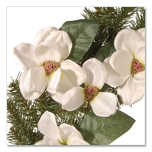 National Tree Company North Valley Spruce Magnolia Wreath, 24" Diameter x 3.5"h, White (NRV71324W)