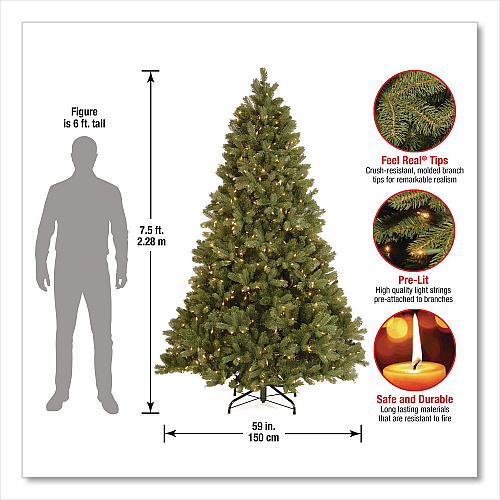 National Tree Company Pre-Lit Downswept Douglas Fir Tree, 59" x 59" x 90", Green Tree, Green Tree Stand (PEDD131275)