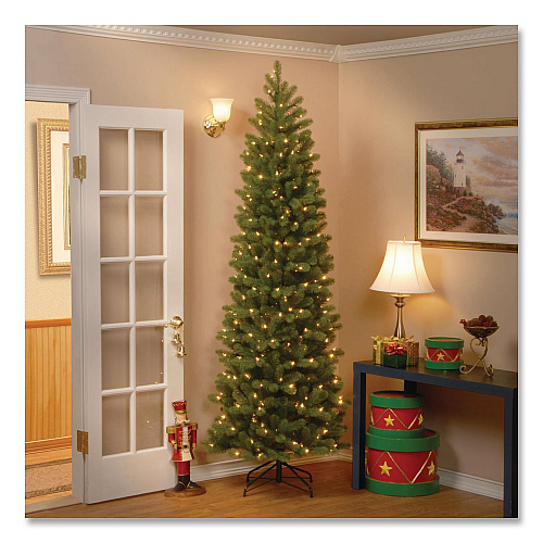 National Tree Company Pre-Lit Downswept Douglas Fir Pencil Slim Tree, 35" x 35" x 108", Green Tree, Green Tree Stand (PEDD439290)