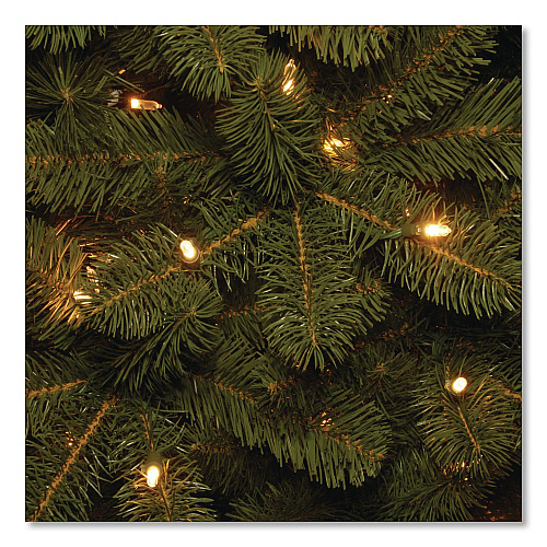 National Tree Company Pre-Lit Downswept Douglas Fir Pencil Slim Tree, 35" x 35" x 108", Green Tree, Green Tree Stand (PEDD439290)