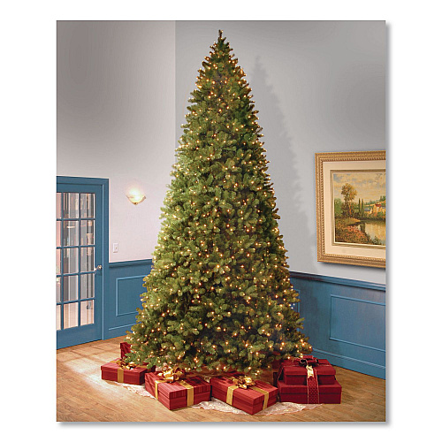 National Tree Company Pre-Lit Downswept Douglas Fir Tree, 92" x 92" x 144", Green Tree, Green Tree Stand (PEDD1312120)