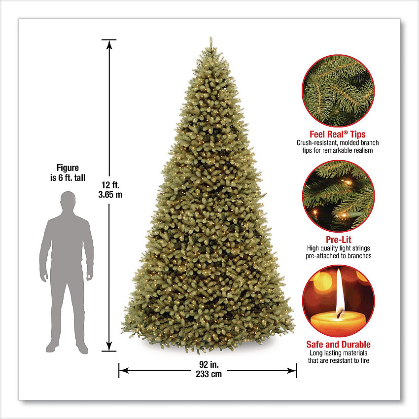 eazyzoom