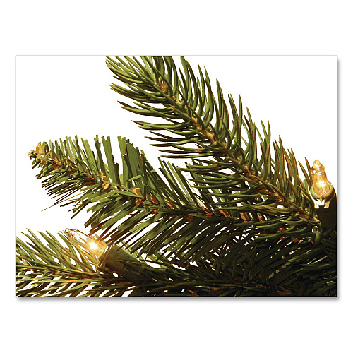National Tree Company Pre-Lit Grande Fir Medium Tree, 50" x 50" x 90", Green Tree, Green Tree Stand (PEGF430775)