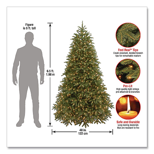 National Tree Company Pre-Lit Jersey Fraser Fir Medium Tree, 48" x 48" x 78", Green Tree, Green Tree Stand (PEJF130265)