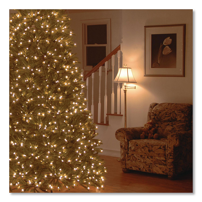 eazyzoom