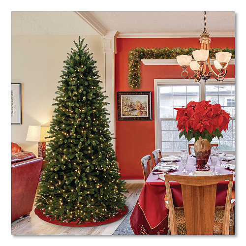 National Tree Company Pre-Lit Jersey Fraser Fir Slim Tree, 51" x 51" x 90", Green Tree, Green Tree Stand (PEJF130475)