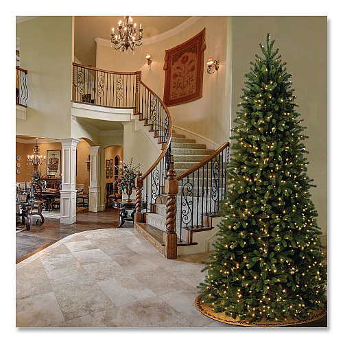 National Tree Company Pre-Lit Jersey Fraser Fir Slim Tree, 57" x 57" x 108", Green Tree, Green Tree Stand (PEJF130490)