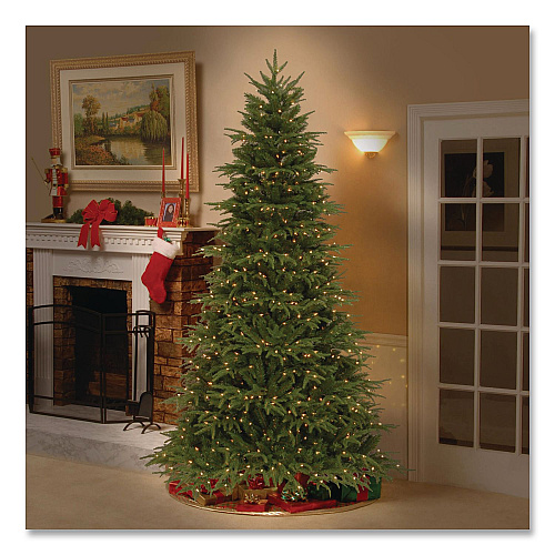 National Tree Company Pre-Lit Northern Fraser Tree, 57" x 57" x 90", Green Tree, Green Tree Stand (PENO430775)