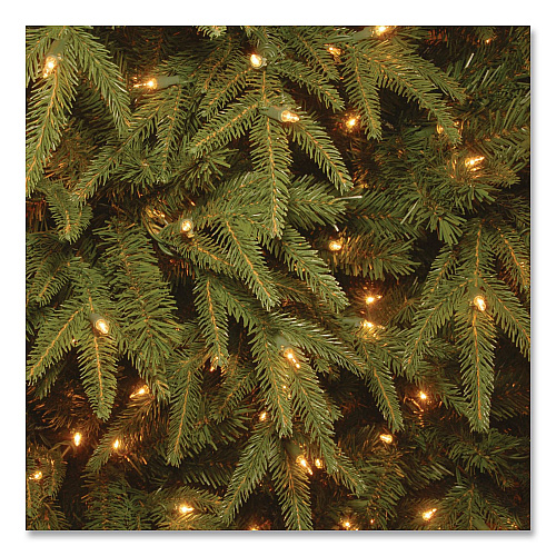 National Tree Company Pre-Lit Northern Fraser Tree, 57" x 57" x 90", Green Tree, Green Tree Stand (PENO430775)