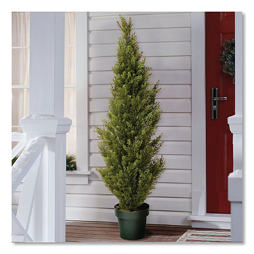 National Tree Company Cedar Topiary Tree, 13" x 13" x 53", Green Tree, Dark Green Pot (QLMC4531)