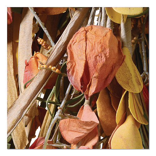 National Tree Company Fall Teardrop Decoration, 16" x 30" x 2", Orange (RAHVT170375N)