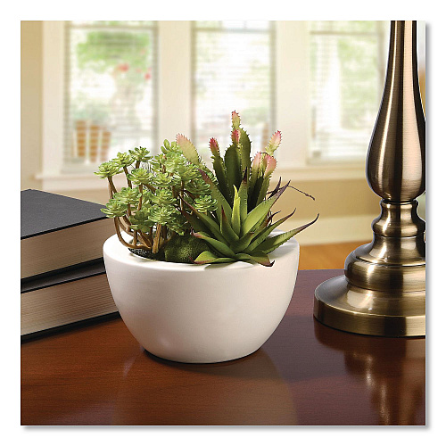 National Tree Company Spring Potted Plant, 8" x 8" x 8", Green Plant, White Pot (RASXF169W)