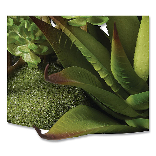 National Tree Company Spring Potted Plant, 8" x 8" x 8", Green Plant, White Pot (RASXF169W)