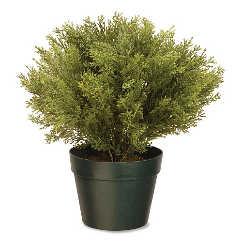 National Tree Company Artificial Globe Juniper, 15" x 15" x 15", Green Plant, Green Pot (LCB4151)