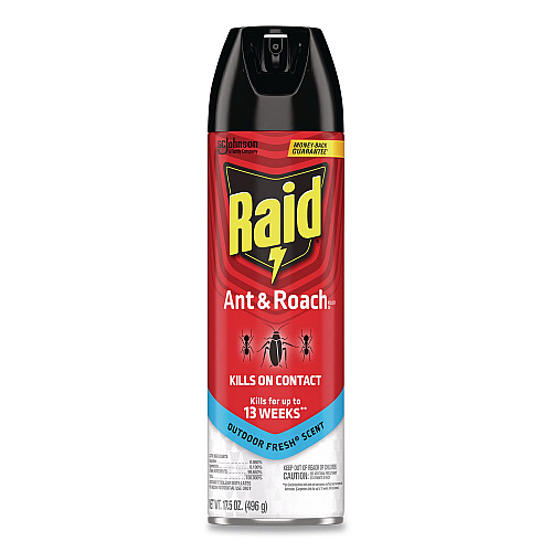 Raid Ant and Roach Killer, 17.5 oz Aerosol Spray, Outdoor Fresh, 12/Carton (386220)