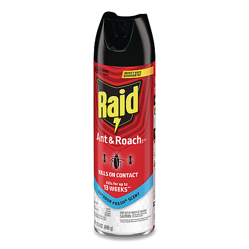 Raid Ant and Roach Killer, 17.5 oz Aerosol Spray, Outdoor Fresh, 12/Carton (386220)