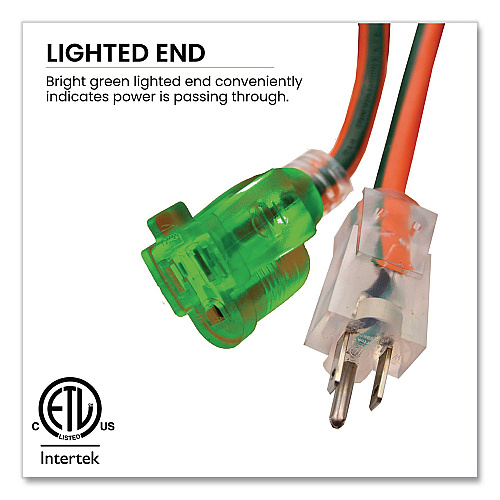 GoGreen Power 16 AWG Outdoor Extension Cord, 100 ft, 10 A, Orange (GG13700)