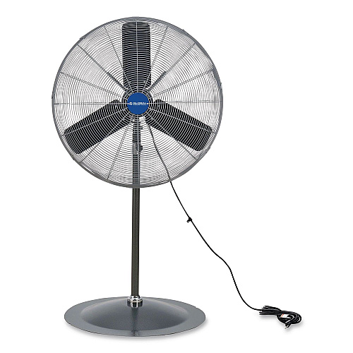 Global Industrial Oscillating Pedestal Fan, 30", 3-Speed, Gray (585280)