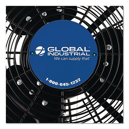 Global Industrial 2 Speed Oscillating Outdoor Rated Wall Mount Fan, 30" (292451)