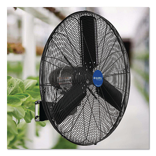 Global Industrial 2 Speed Oscillating Outdoor Rated Wall Mount Fan, 30" (292451)