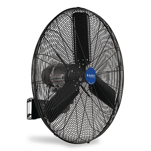 Global Industrial 2 Speed Oscillating Outdoor Rated Wall Mount Fan, 30" (292451)