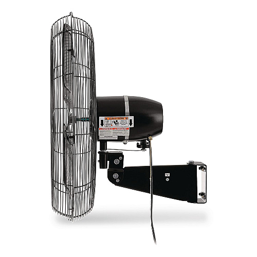 Global Industrial 2-Speed Oscillating Outdoor Rated Wall Mount Fan, 24" (292450)