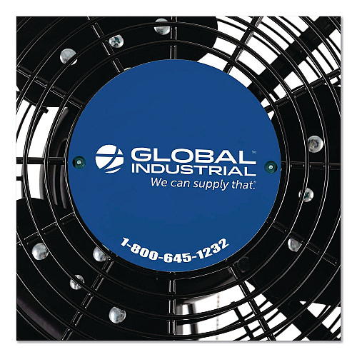 Global Industrial 2-Speed Oscillating Outdoor Rated Wall Mount Fan, 24" (292450)