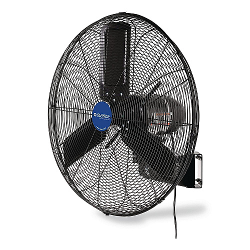 Global Industrial 2-Speed Oscillating Outdoor Rated Wall Mount Fan, 24" (292450)