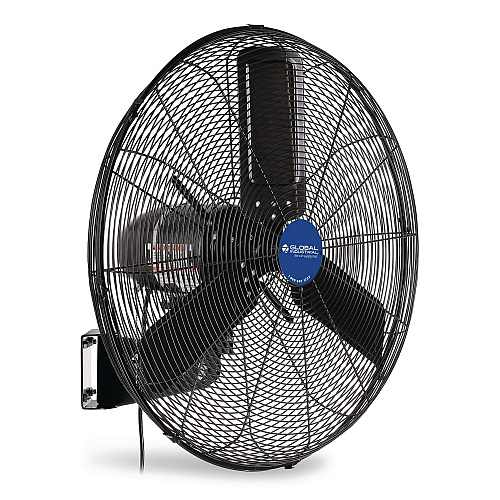 Global Industrial 2-Speed Oscillating Outdoor Rated Wall Mount Fan, 24" (292450)