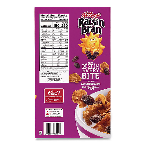 Kellogg's Raisin Bran Cereal, 2 Bags/Box, 76.5 oz Box (22002624)