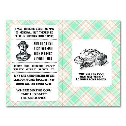Willow Creek Press Dad Jokes Softcover Book, Paperback, 112 Pages (49816)