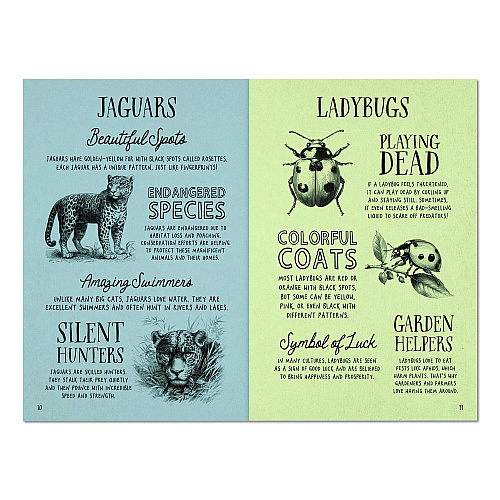 Willow Creek Press Animal Facts for Kids Softcover Book, Paperback, 112 Pages (49908)