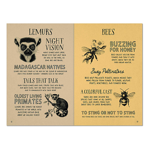 Willow Creek Press Animal Facts for Kids Softcover Book, Paperback, 112 Pages (49908)