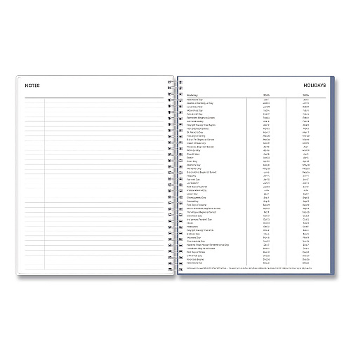 Blue Sky Tanya Blue Academic Year Daily Planner, Abstract Artwork, 11 x 8.5, Multicolor Cover, Supports Four Academic Years: 2025-2028 (156259)