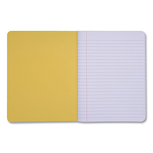 DesignWorks Ink Designer Composition Book, Randomly Assorted Banana and Strawberry Cover Designs, Wide/Legal Rule, (80) 9.75 x 7.5 Sheets (TCOMPA114ST)
