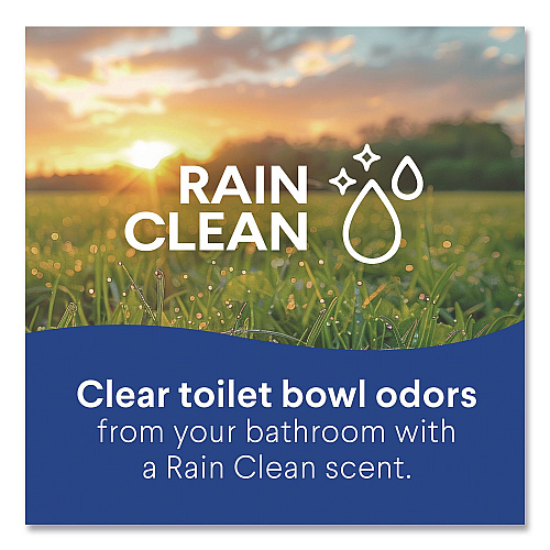 Clorox Disinfecting Toilet Bowl Cleaner with Bleach, Rain Clean Scent, 24 oz Bottle, 2/Pack, 6 Packs/Carton (30924CT)