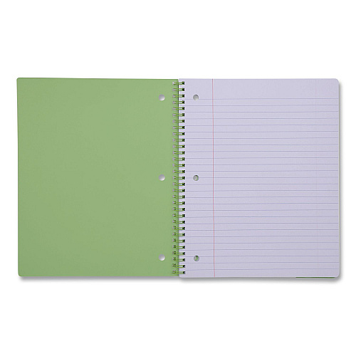 DesignWorks Ink Twin-Wire Notebook, Randomly Assorted Banana and Strawberry Cover Designs, 1-Subject, Wide/Legal Rule, (80) 10.5 x 8.5 Sheets (TTWSA114ST)