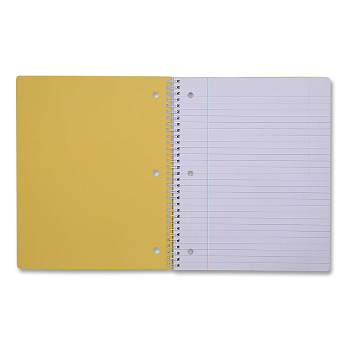 DesignWorks Ink Twin-Wire Notebook, Randomly Assorted Banana and Strawberry Cover Designs, 1-Subject, Wide/Legal Rule, (80) 10.5 x 8.5 Sheets (TTWSA114ST)