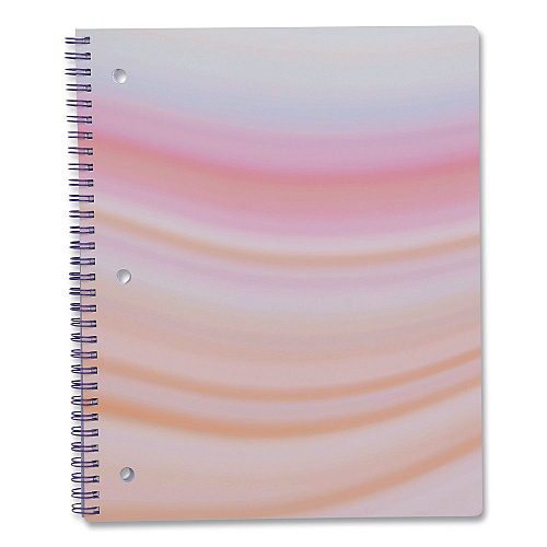 DesignWorks Ink Twin-Wire Notebook, Randomly Assorted Pastel Marble Cover Designs, 1-Subject, Medium/College Rule, (80) 10.5 x 8.5 Sheets (TTWSA115ST)