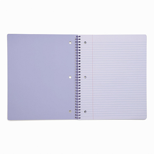DesignWorks Ink Twin-Wire Notebook, Randomly Assorted Pastel Marble Cover Designs, 1-Subject, Medium/College Rule, (80) 10.5 x 8.5 Sheets (TTWSA115ST)