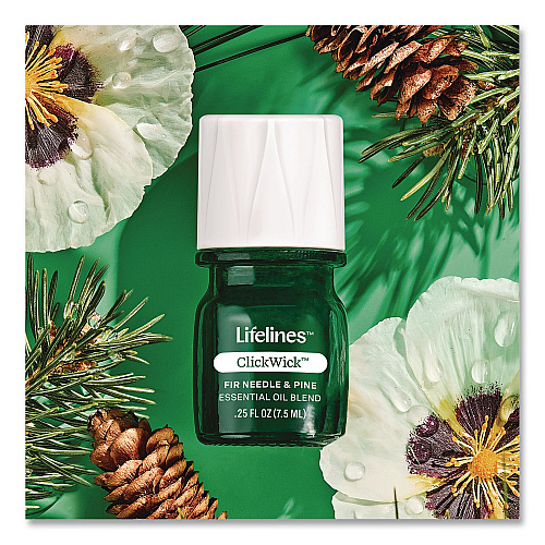 Lifelines Evaporative Aromatherapy Essential Oil Boxwood Plant Diffuser with Fir Needle/Pine Essential Oil, 6.2 x 6.2 x 9.5, Gray/Green (111611)