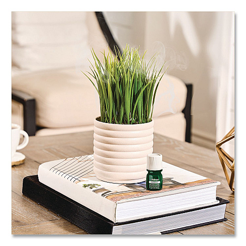 Lifelines Evaporative Aromatherapy Essential Oil Grass Plant Diffuser with Fir Needle and Pine Essential Oil, 6.2 x 9.5, White/Green (111608)