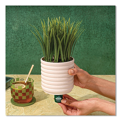 Lifelines Evaporative Aromatherapy Essential Oil Grass Plant Diffuser with Fir Needle and Pine Essential Oil, 6.2 x 9.5, White/Green (111608)