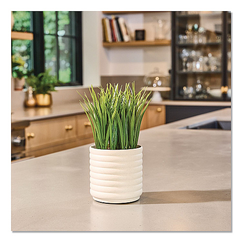 Lifelines Evaporative Aromatherapy Essential Oil Grass Plant Diffuser with Fir Needle and Pine Essential Oil, 6.2 x 9.5, White/Green (111608)