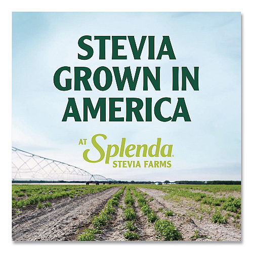 Splenda Stevia Sweetener Packet, 0.04 oz, 200/Box (HFP00612)