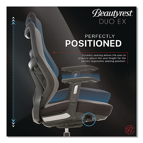Beautyrest Duo-EX Ergonomic Mesh Back Task Chair, Supports Up to 275 lb, 19" to 22" Seat Height, Black (60051GRY)